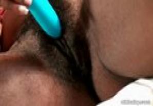 ATK Aunt Judys Adori in exotic and hairy