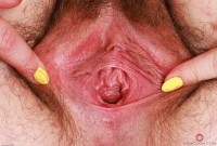 ATK hairy Adora Bell Set