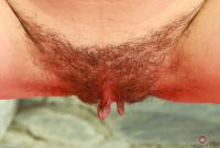 ATK hairy  in young and hairy