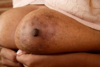 ATK hairy Alexis Set