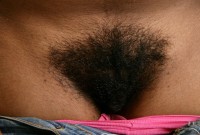 ATK hairy  in exotic and hairy