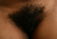 ATK hairy  in exotic and hairy
