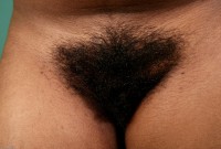 ATK hairy  in exotic and hairy