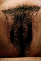 ATK hairy Alexis Set
