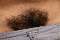 ATK hairy  in exotic and hairy