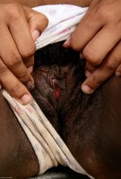 ATK hairy Alexis Set