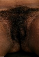 ATK hairy Alexis Set
