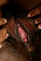 ATK hairy  in exotic and hairy