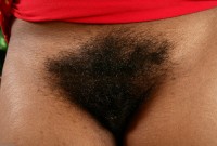 ATK hairy  in exotic and hairy