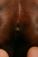 ATK hairy  in exotic and hairy