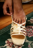 ATK hairy Alexis Set