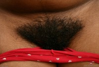 ATK hairy Alexis Set