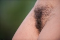 ATK hairy  in mature and hairy