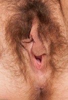 ATK hairy Alicia Silver Set