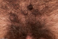 ATK hairy Alicia Silver Set