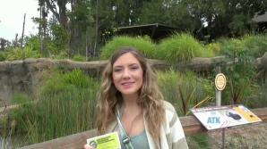 ATK Aunt Judys  in Virtual Date