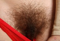 ATK hairy Alice Hodges Set