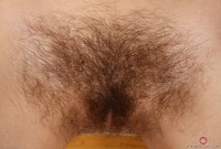 ATK hairy Alice Hodges Set