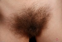 ATK hairy Alice Hodges Set