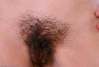 ATK hairy Alle Set