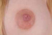 ATK hairy Amanda Bryant Set