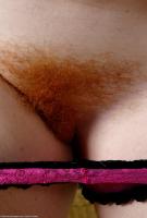 ATK hairy Amber Set