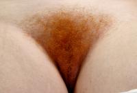 ATK hairy Amber Set
