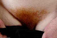 ATK hairy Amber Set