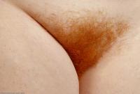 ATK hairy Amber in young and hairy