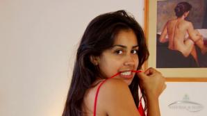 ATK Aunt Judys Ambar in toys