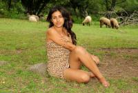 ATK hairy Ambar in exotic and hairy