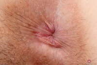 ATK hairy Amber Faye Set