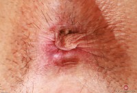 ATK hairy Amber Summer Set