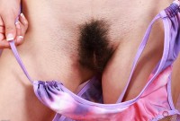 ATK hairy  in exotic and hairy