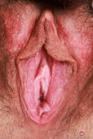 ATK hairy Amber Summer Set