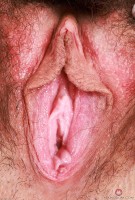 ATK hairy Amber Summer Set