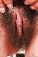 ATK hairy Amber Summer Set