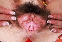 ATK hairy  in exotic and hairy
