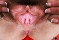 ATK hairy Amber Summer Set