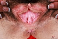 ATK hairy Amber Summer Set