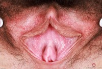 ATK hairy Amber Summer Set