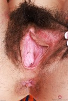 ATK hairy  in exotic and hairy