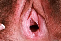 ATK hairy Amber Summer Set