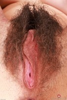 ATK hairy  in exotic and hairy