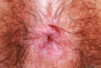 ATK hairy Amber Summer Set