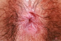 ATK hairy Amber Summer Set