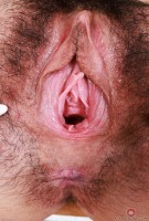 ATK hairy Amber Summer Set