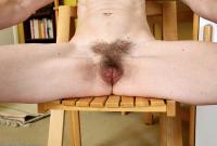 ATK hairy Amelia Set