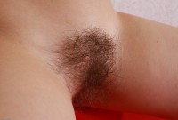 ATK hairy Amelie Set