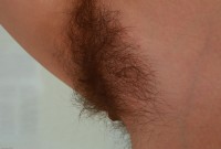 ATK hairy Amelie Set